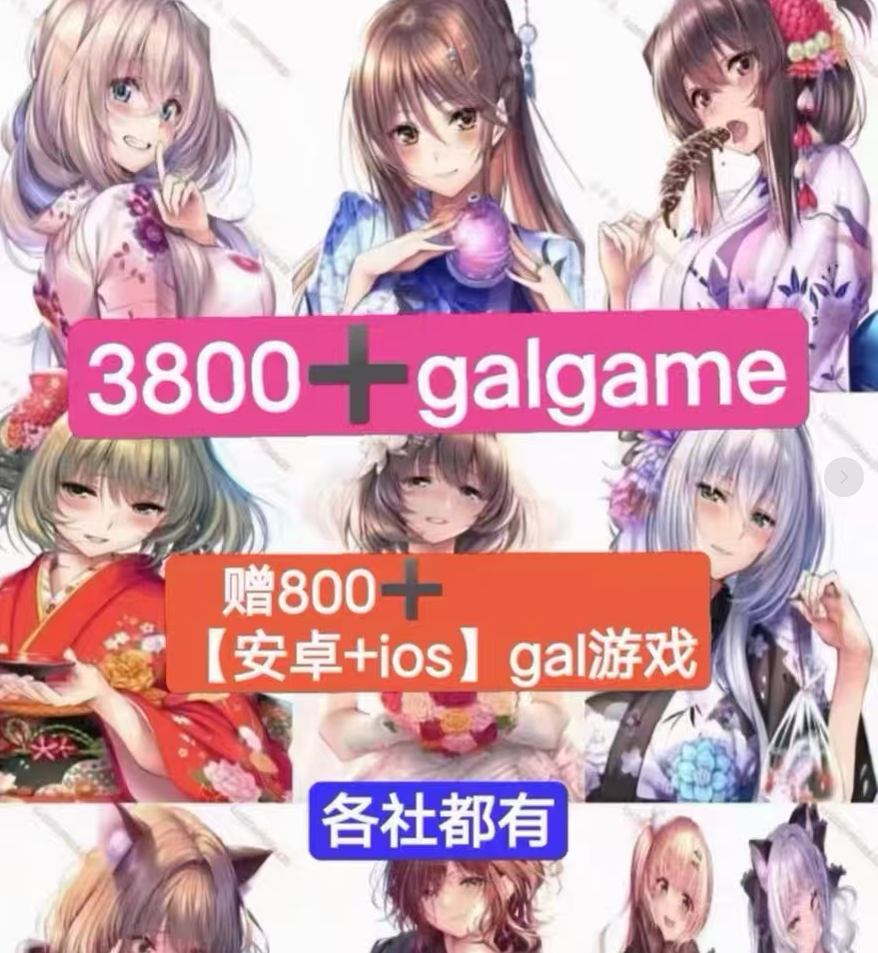 3800+绅士游戏合集（PC+安卓）各社游戏非常全！！-小蛇ACG